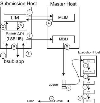 Lsf Batch System